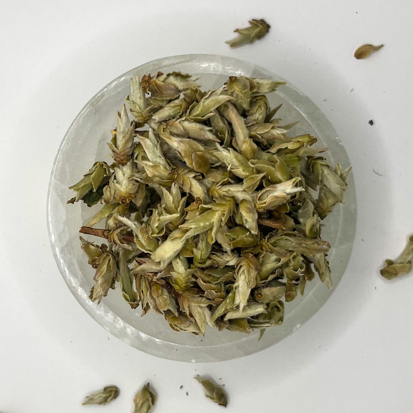 Wild Sun Dried Pu'erh Buds White Tea