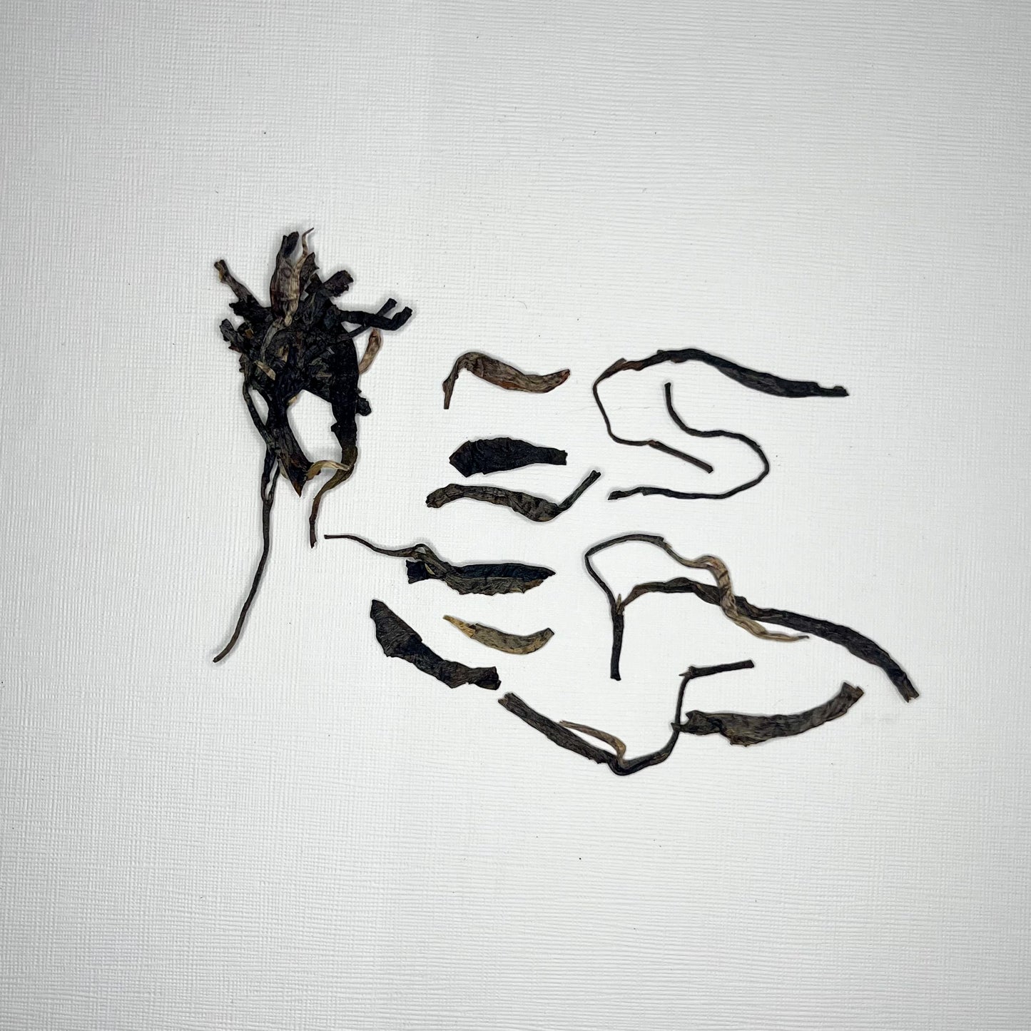 2021 Feng Huang Wo "Phoenix's Nest" Sheng Pu'erh