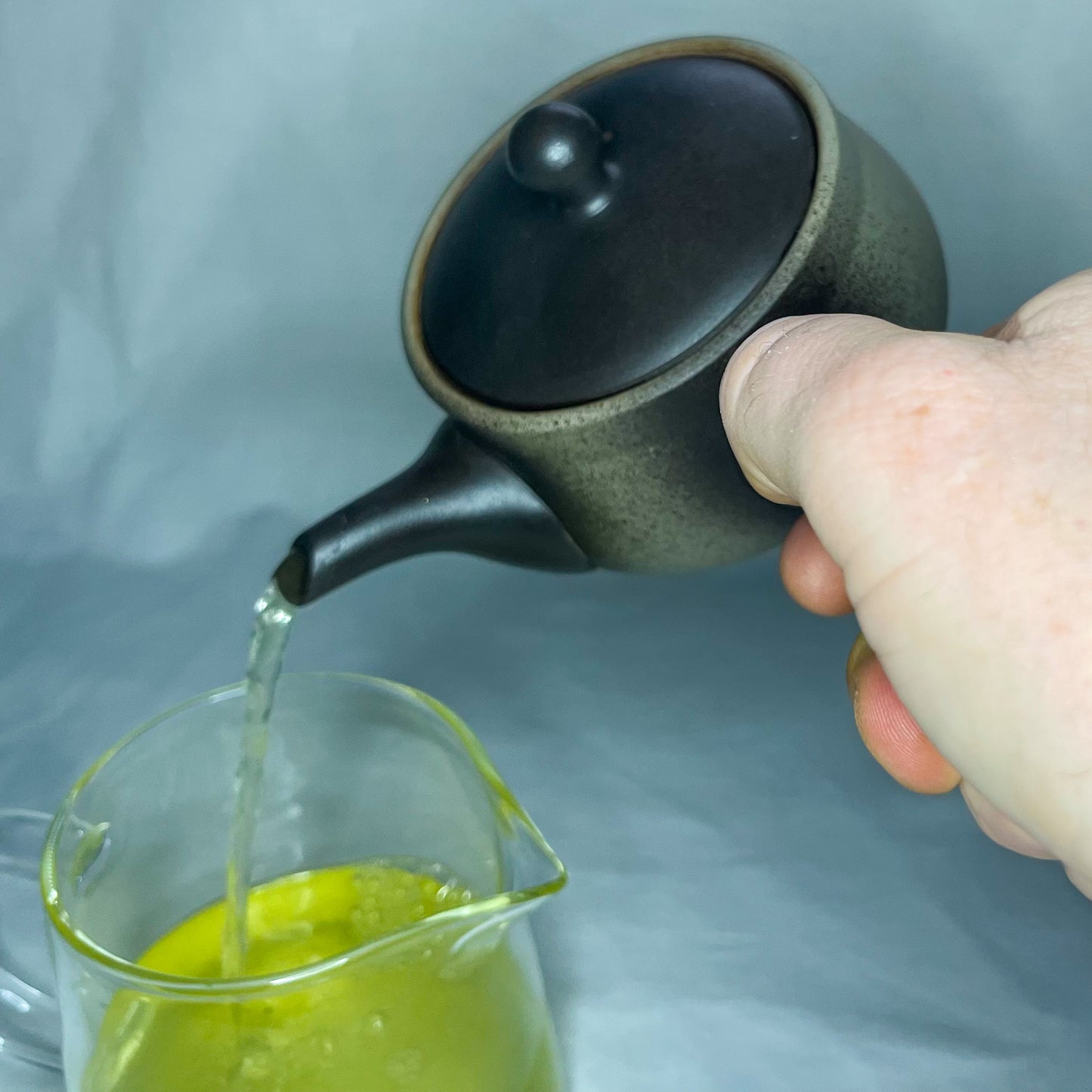 Tokoname Yaki Kyusu Teapot